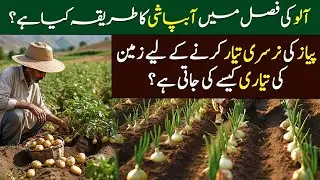 Weed Control & Irrigation in Potato Crop | Onion Nursery | Top 5 Farmer Queries