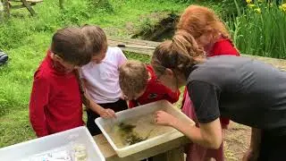 Learning sessions at Wild Place Project