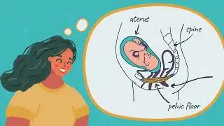 Pelvic floor exercises during and after pregnancy