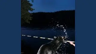 Lääkäri