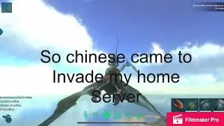 Helping defend my home server [ark mobile]