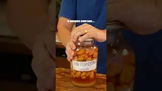 Parte 5 | Alho fermentado no mel #alhofermentado #alho #mel
