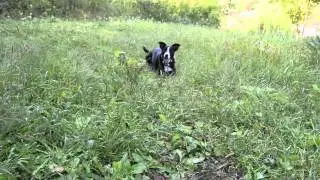 Spin, Twirl, Down.