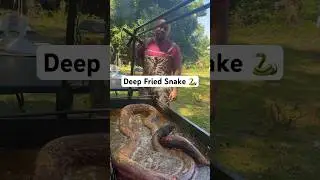 Deep fried snake 🐍🐍‼️‼️ #explore #foodblogger #food #foodie #fypage #fypシ゚ #explorepage #foryou