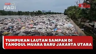 🔴 LIVE | Tumpukan Lautan Sampah di Tanggul Muara Baru Jakarta Utara - Beritasatu Pagi