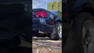 Cammed 2V cold start ford mustang 4.6