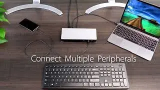 Top 5 Best Docking Station for Home Office in 2022