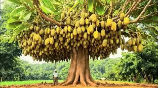 8 Most Mysterious Trees That Even Science Can&rsquo;t Explain!