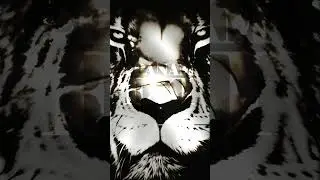 HOMME LION 👁️ EXI2PANAM AUTHENTIC RAP MUSIC
