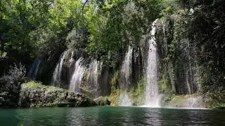 Pexels Videos beauty of water flowing downward 00014