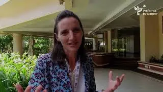 The High Conservation Value (HCV) approach