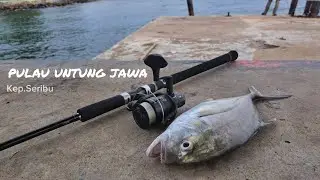Mancing Cumi di Pulau Untung Jawa Bonus Ikan GT