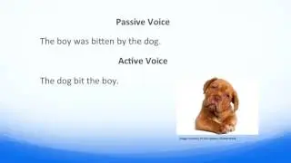 DukeWrites Suite ~ Verbs part 1