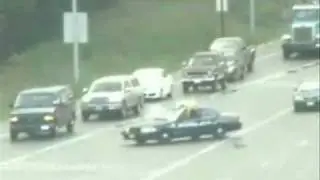 Police Escort Baby Ducks across heavy freeway traffic