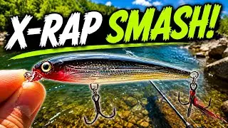 Potomac River Smallmouth Bass - Spring Fishing in Wild & Wonderful WV!