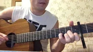 Rammstein - Mein Herz brennt (Cover)