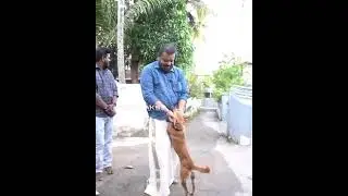ഈ മനുഷ്യനെ ജയിക്കാൻ ഒരു തിരഞ്ഞെടുപ്പും മതിയാവില്ല... #sureshgopi #akseofficial