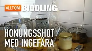 Frukostshot med honung, ingefära och citron - Honungsrecept