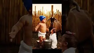Arre, cabra, hacia la casa