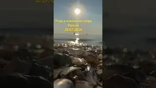 Утро в компании моря 28.07.2024 #live #море #одесса #2024 #beach #украина #blacksea #sea