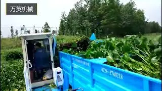 CS0803: Full Auto Water Hyacinth Harvester for River Cleaning
