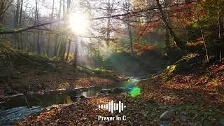 Velvet Muse - Prayer In C