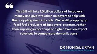 Monique Ryan MP, Energy Price Relief Plan