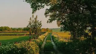 a playlist for quiet moments in the garden with a good book