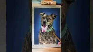MADRAZO NEEDS YOUR HELP!  #animalart #painting #art #drawing #coloredpencils #artist #arterealista