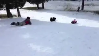 Mello Penguin sledding.