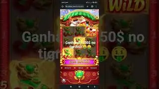 ganhando 250$ no tigrinho 🤑🤑🙏🏾