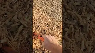 Dime! - Metal Detecting At The Park #metaldetecting #coins #hobbyhunt #urbantreasurehunting