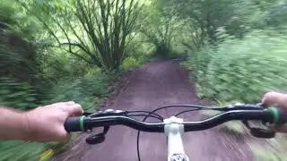 bike run down old barnsley canal, near haws wood.    by derek farrar