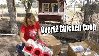 Best Chicken Feeder & Waterer for Backyard Hens