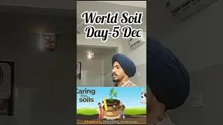 World Soil Day 2024: Why Soil Matters | SoulTree Institute. #agriculture #shortvideo #shorts