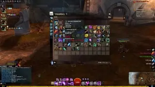 The Last Potato Guild Wars 2
