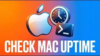 How to Check Mac Uptime (2 Fast Ways)