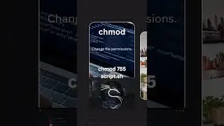 Linux Command  chmod   Change File Permissions #Shorts