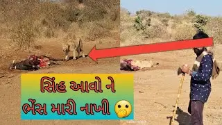 🌳આજે સવારે હું ભેંસ મા ગયો પાસો એક મહીનાથી નોતો ગયો🫢🫢🌳