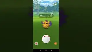 Shiny shadow pineco