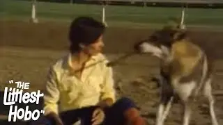 Photo Finish | The Littlest Hobo | Season 3 | Episode 1