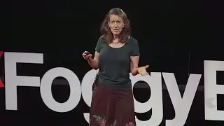 Insect Metamorphosis: Success through Reinvention | Martha Weiss | TEDxFoggyBottom