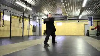 James M Rodgers II performing God Spear Li Baji Quan/ Northern Praying Mantis Boxing