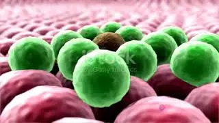 Enedra  Revolutionizing Cancer Treatment