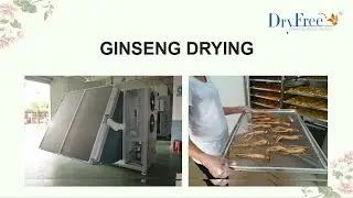 DRYFREE Ginseng drying machine