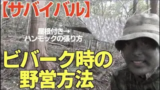 【サバイバル術】ビバーク時の野営方法！タープとハンモックの張り方！