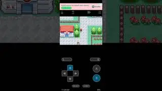 I'm fight with Brock for pewter city gym