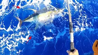 Tuna Fishing in Hawaii! Catching a Giant Yellowfin Tuna Offshore Oahu