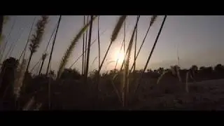 GoPro Cinematest 03