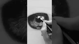 Iris Sketch ✨✏️ #artistic #pencilsketching #artlovers